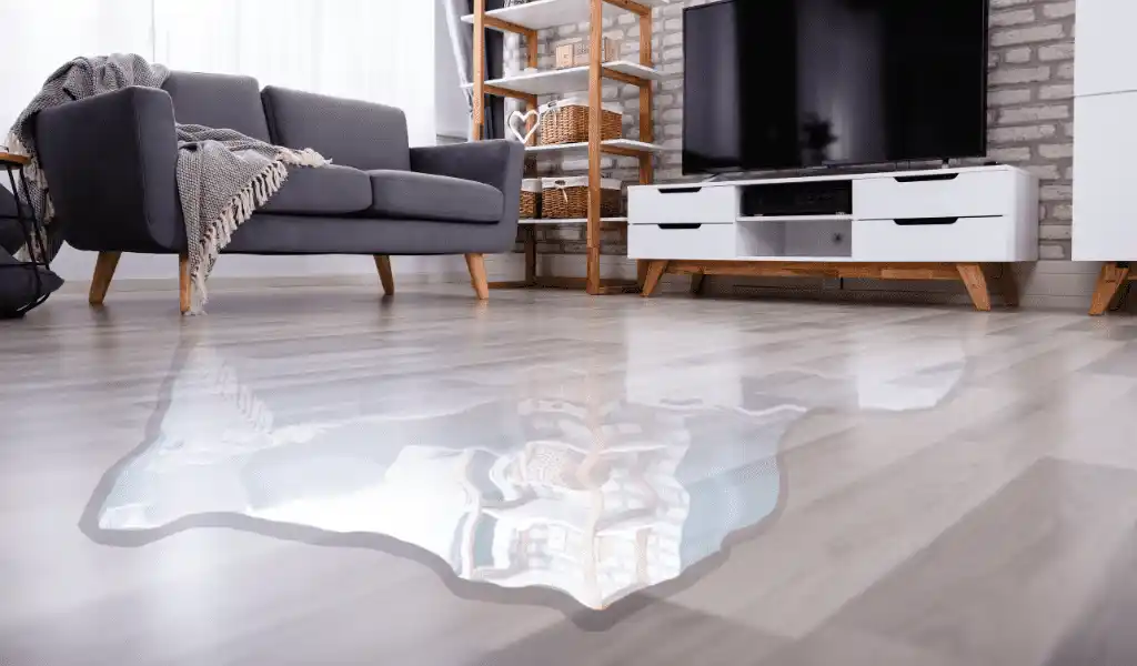 Water on living room floor.